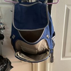 Boy’s Or Men’s Embark Blue And Gray Backpack It’s In EUC 