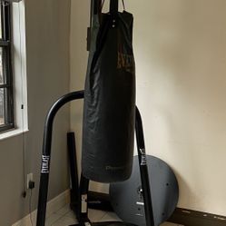 Everlast Punching Bag And Stand