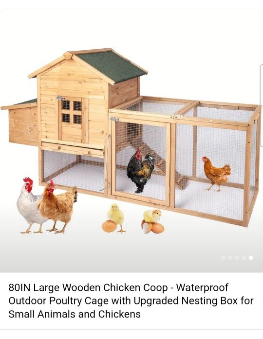 Chicken Coop