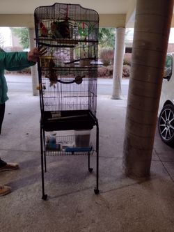 Bird cage with accessories