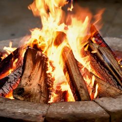 FIREWOOD  - Nice Dry Seasoned Firewood Quarter Cords 