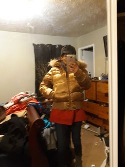 Echo Red gold coat puffy