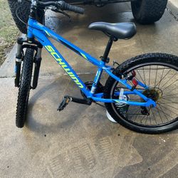 Schwinn Thrasher Kids Bike