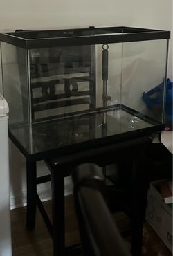 20 gallon tall tank