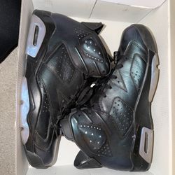 Air Jordan Retro 6 Chameleon