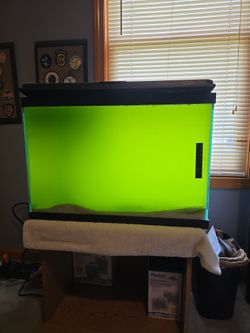 20 Gallon Tall Fish Tank