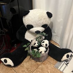 Huge Panda  Soft Toys 