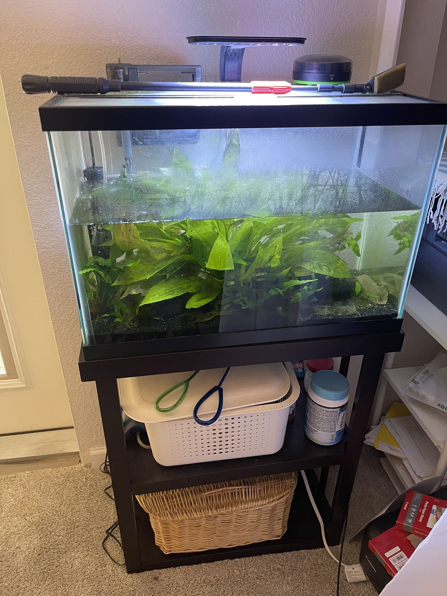 20-gallon Fish Tank Set Up, Including Stand With Shelves