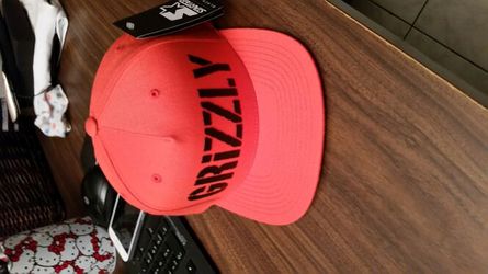Sanpback GRIZZLY