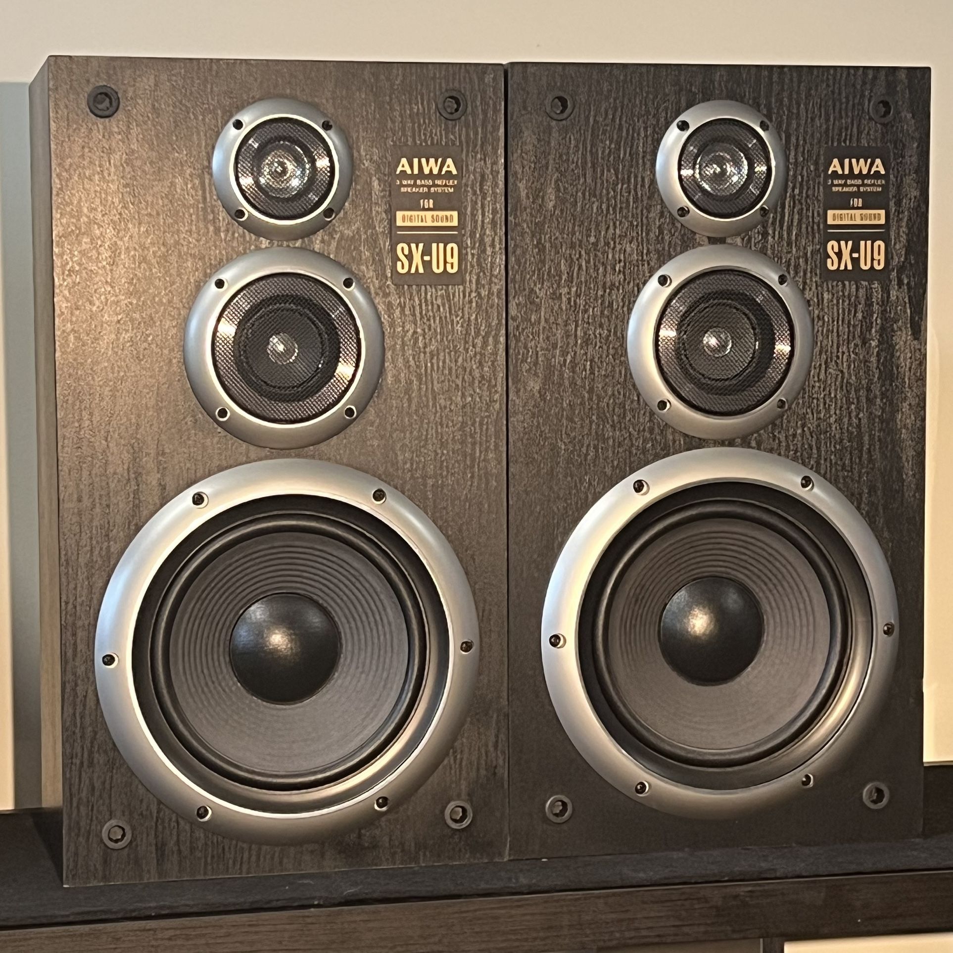AIWA SX-U9 3-Way Bass Reflex Speaker System for Digital Sound