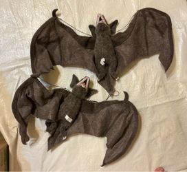 Hanging Furry Vampire Bats