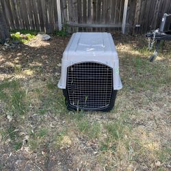 Dog Kennel