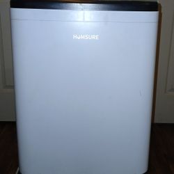 Humsure Dehumidifier 