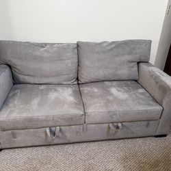 Crate And Barrel Axis 2-Seat Queen Sleeper Sofa