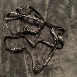 Extra Small Leash and harness