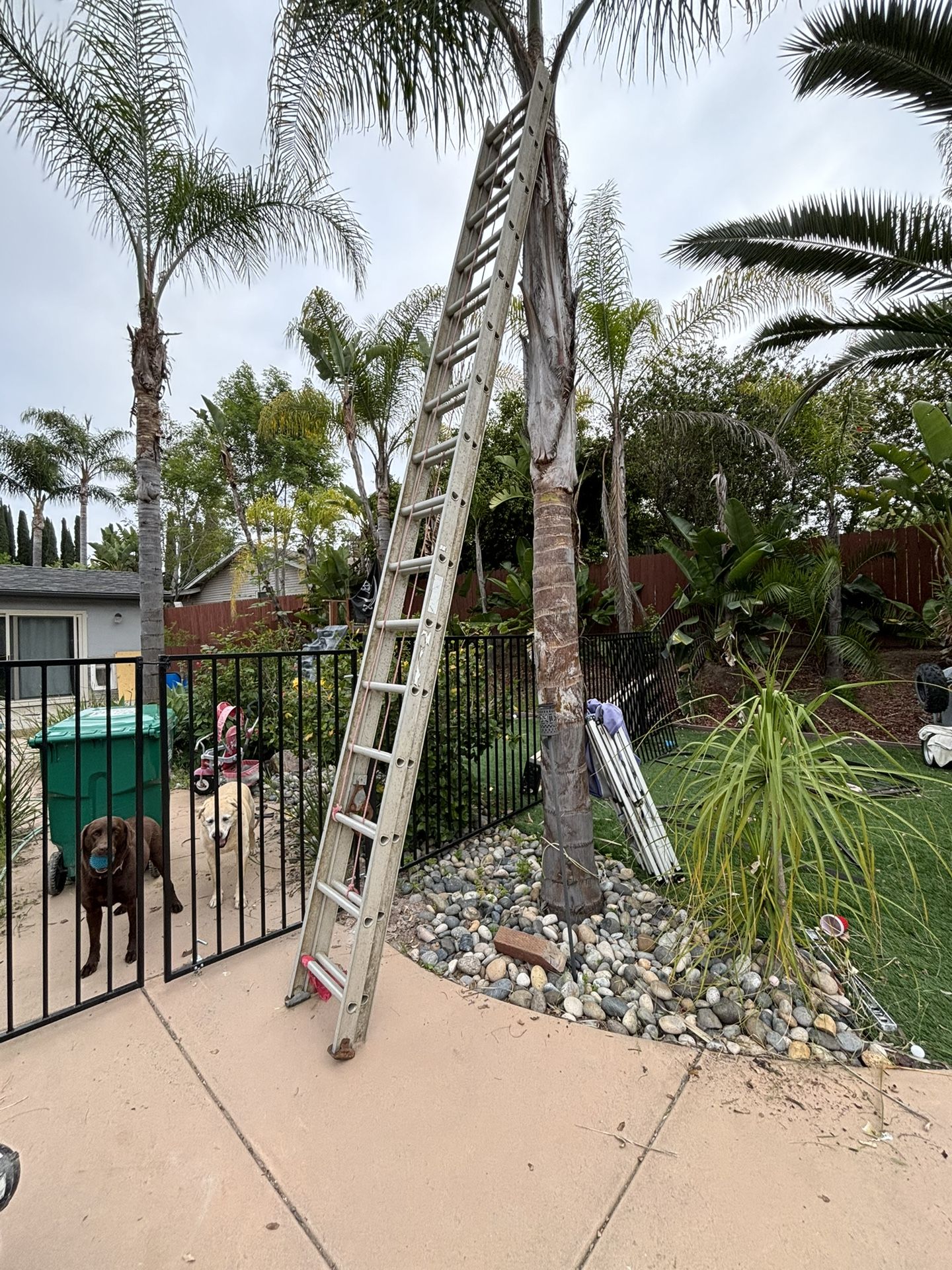 32’ Extension Ladder.  Aluminum 