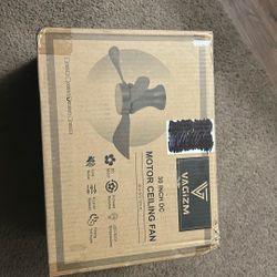 30in. Motor Ceiling Fan
