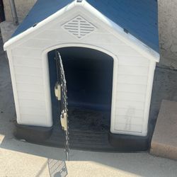Dog House 