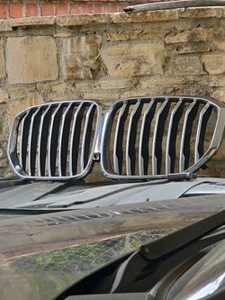 Bmw x5 upper grill