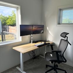 60x24 inch Bamboo desk top (or table top)