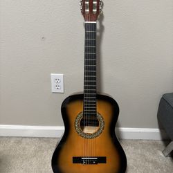 Kids Beginner Guitar 