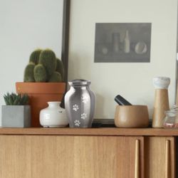 Pet Haven Cremation 