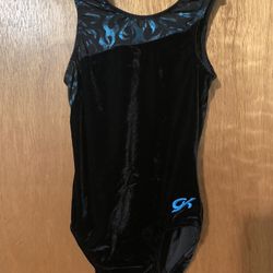 Gk Elite Black Gymnastics Leotard 