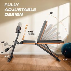 Adjustable Weight Bench for Full Body Workout, Supports up to 772lbs, Foldable Flat, Incline, Decline