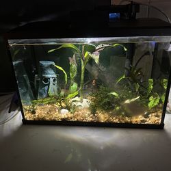 5g fish tank