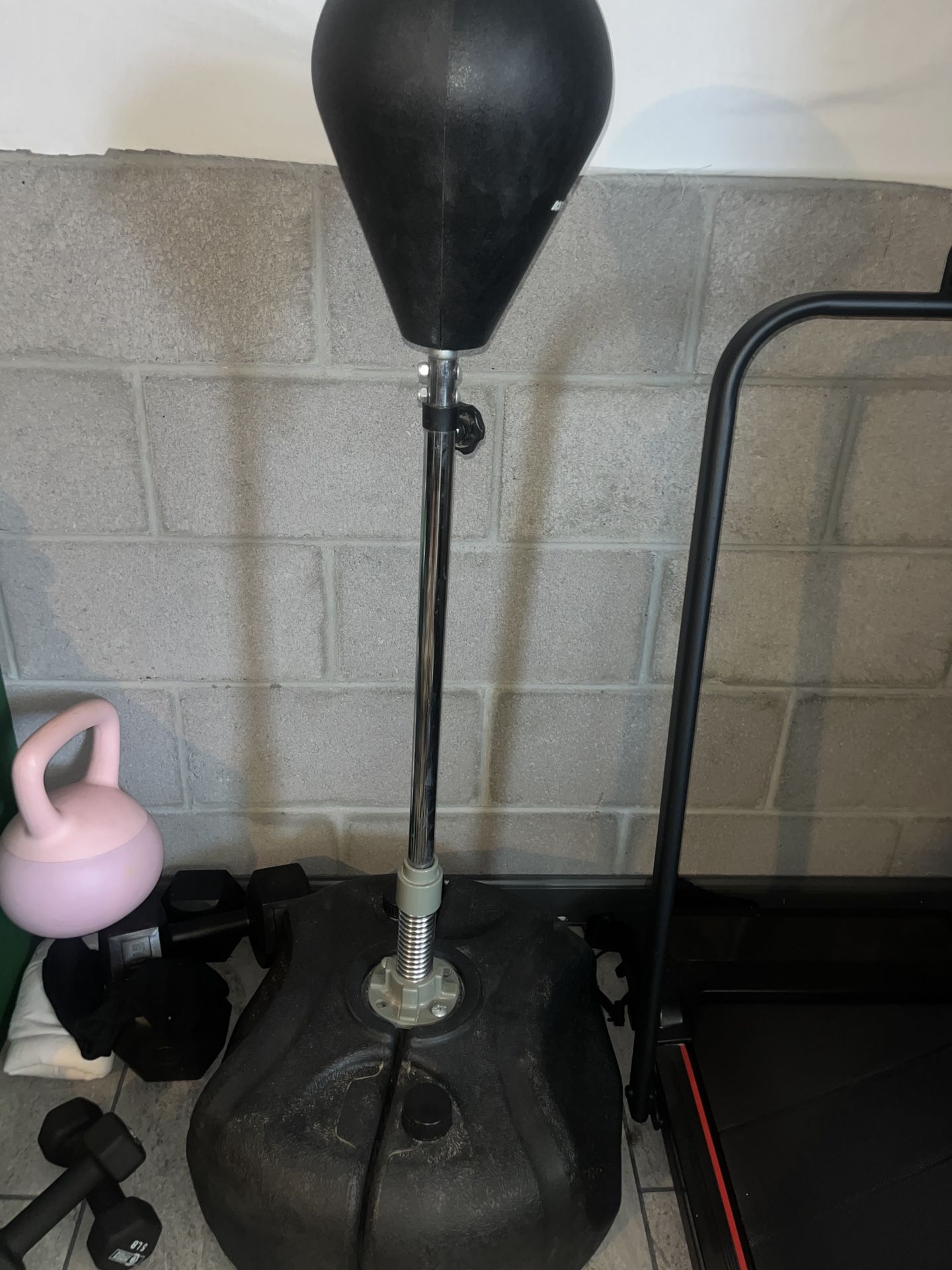 Standing Punching Bag