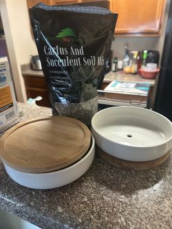 Succulent planter set