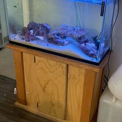 40 Gal Fish Tank