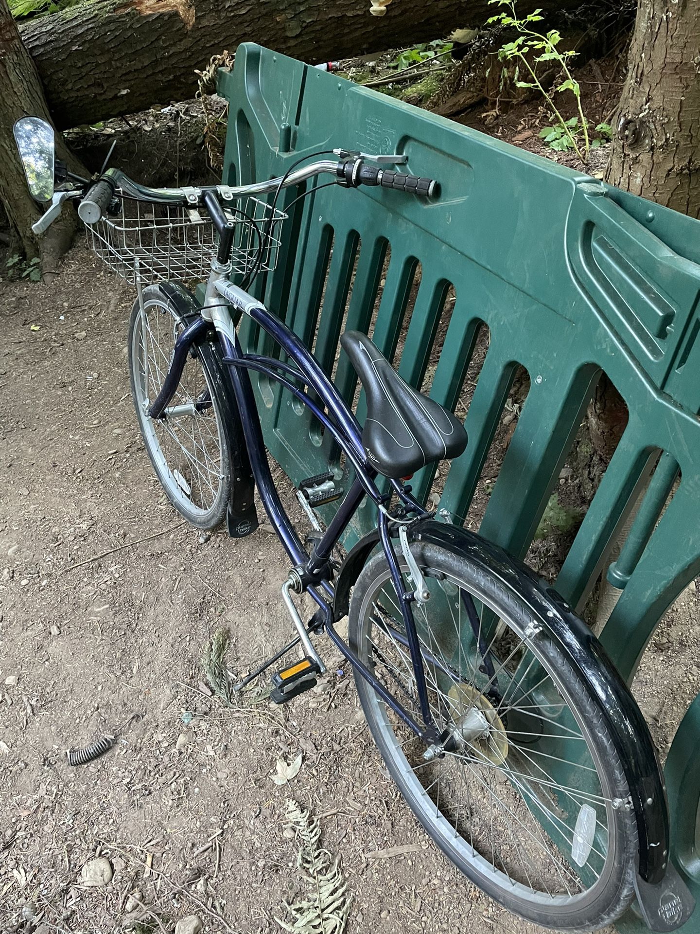 schwinn jaguar beach cruiser