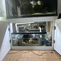 Aquariums Equipment 