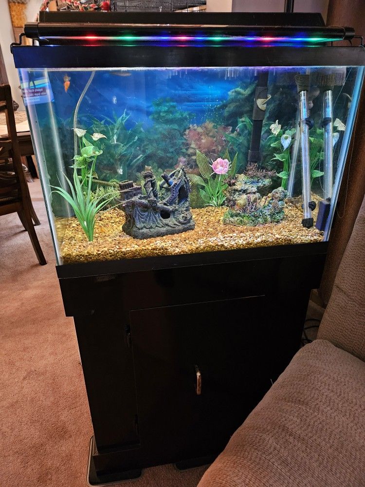 20 Gallon Fish Tank
