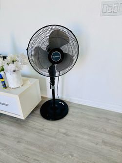 Fan for sale only $10