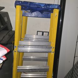 6 foot Ladder