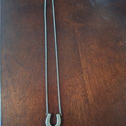 Tiffany Horseshoe Necklace