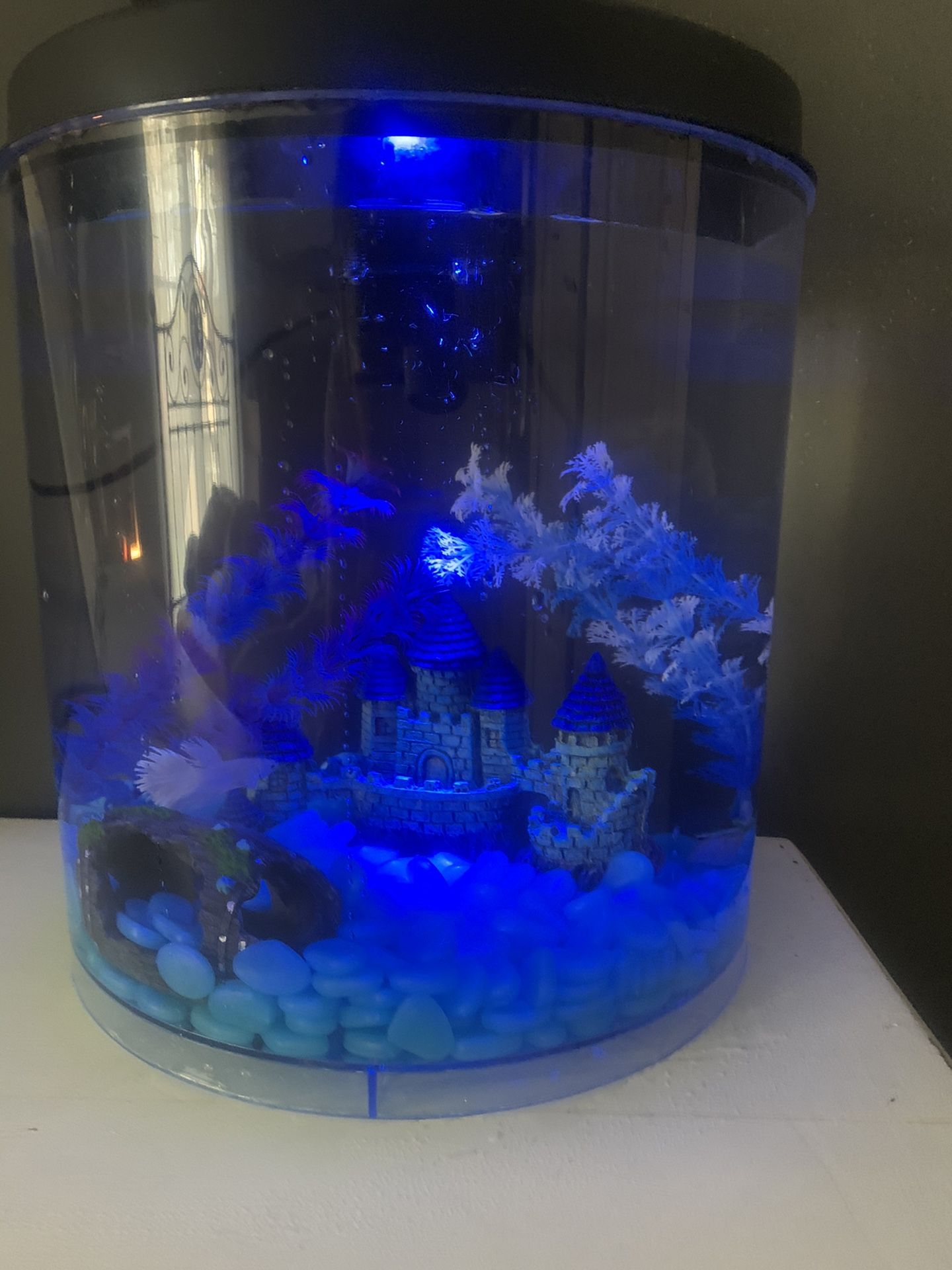 LED Fish Tank