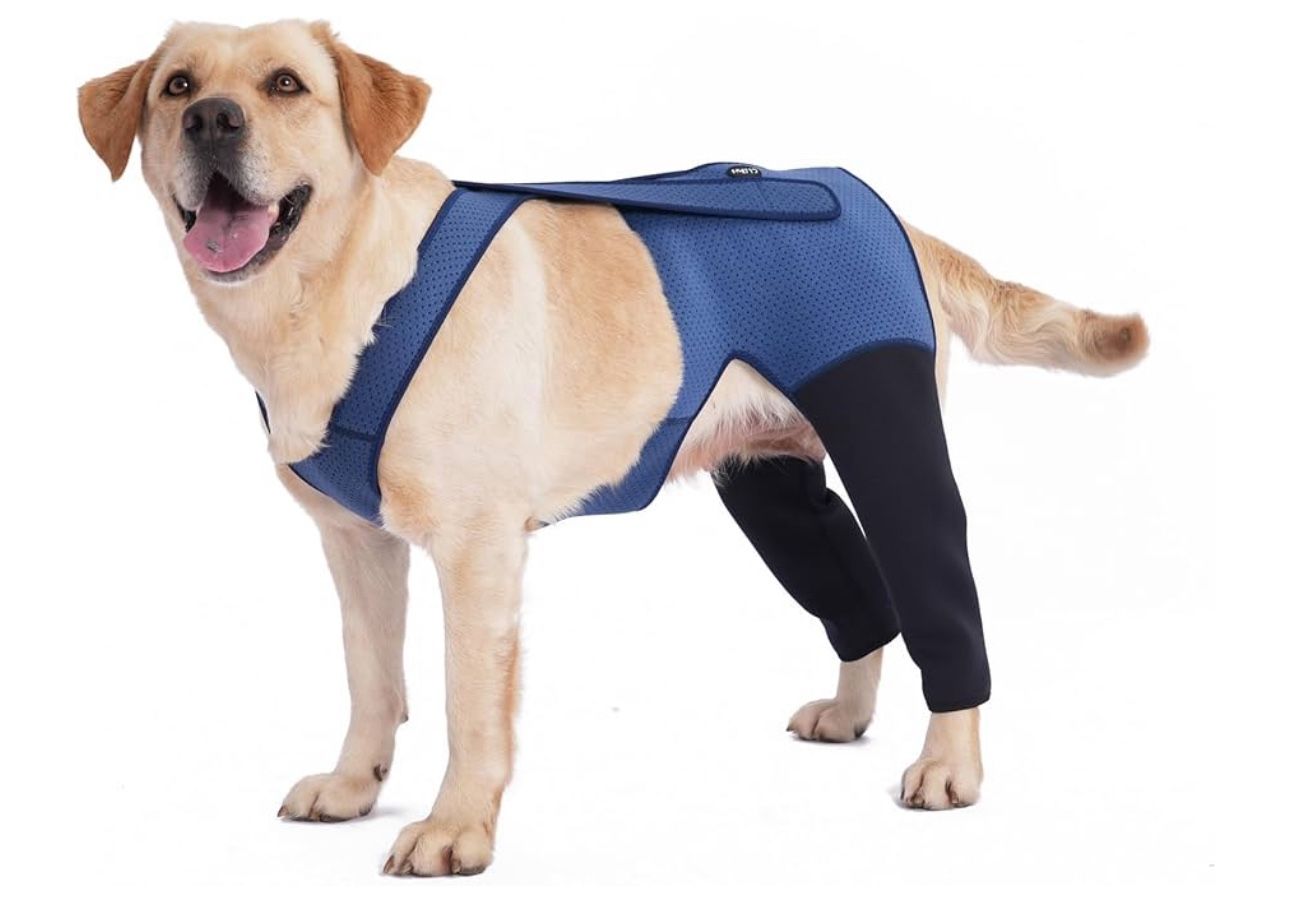 Dog Hind Leg Recovery Sleeve Dog Recovery Suit As Cone Collar Alternative, 2.5mm Thick And Waterproof, Prevent Pet Wounds Licking, Biting (XXLarge)