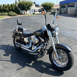 Harley 