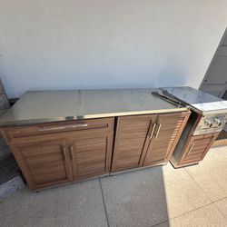 NewAge Outdoor Kitchen Cabinets And Dual Side Burner