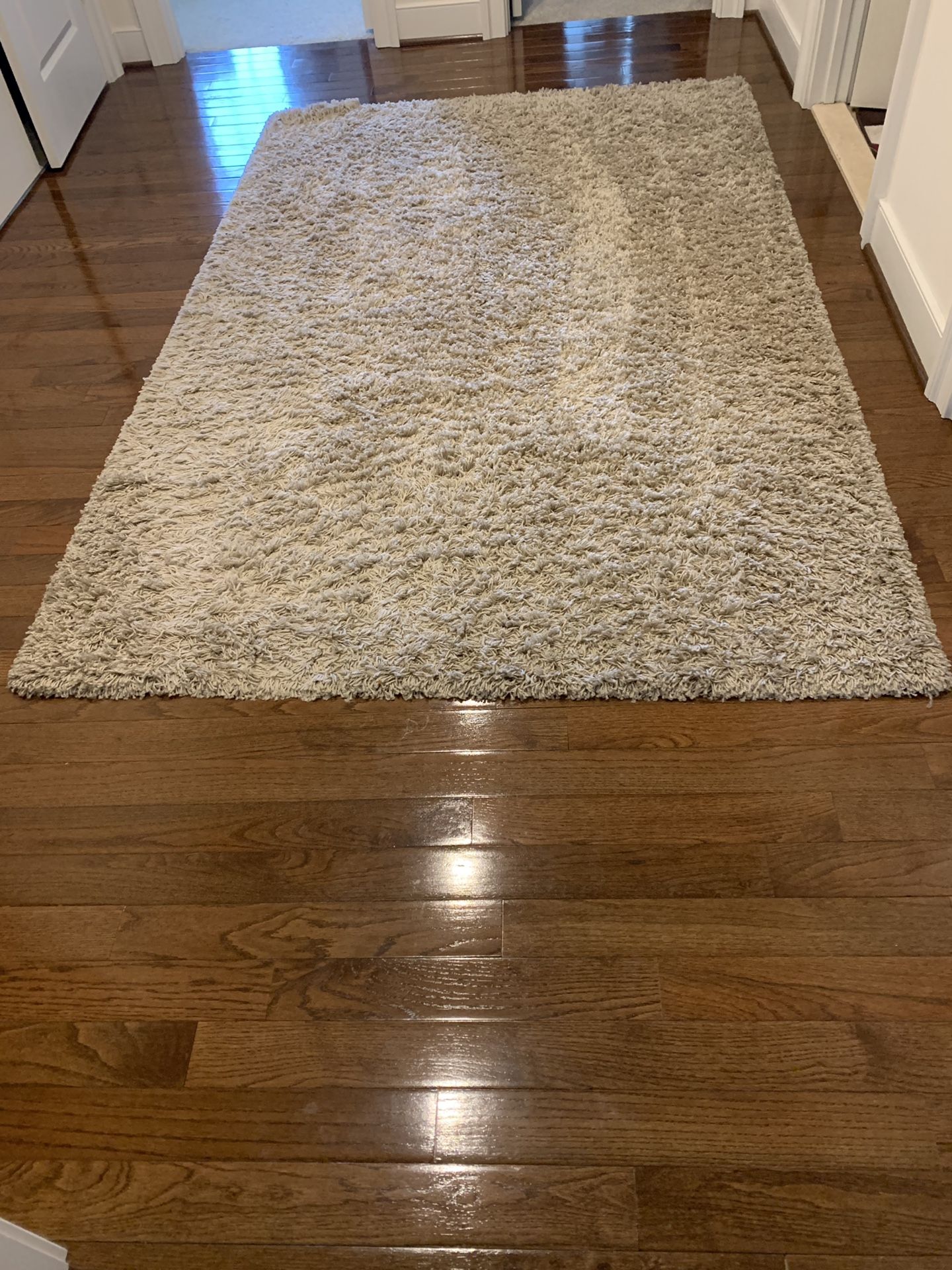 Shag Rug/Carpet 5X8