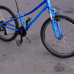 Specialize 24" Trick Bike