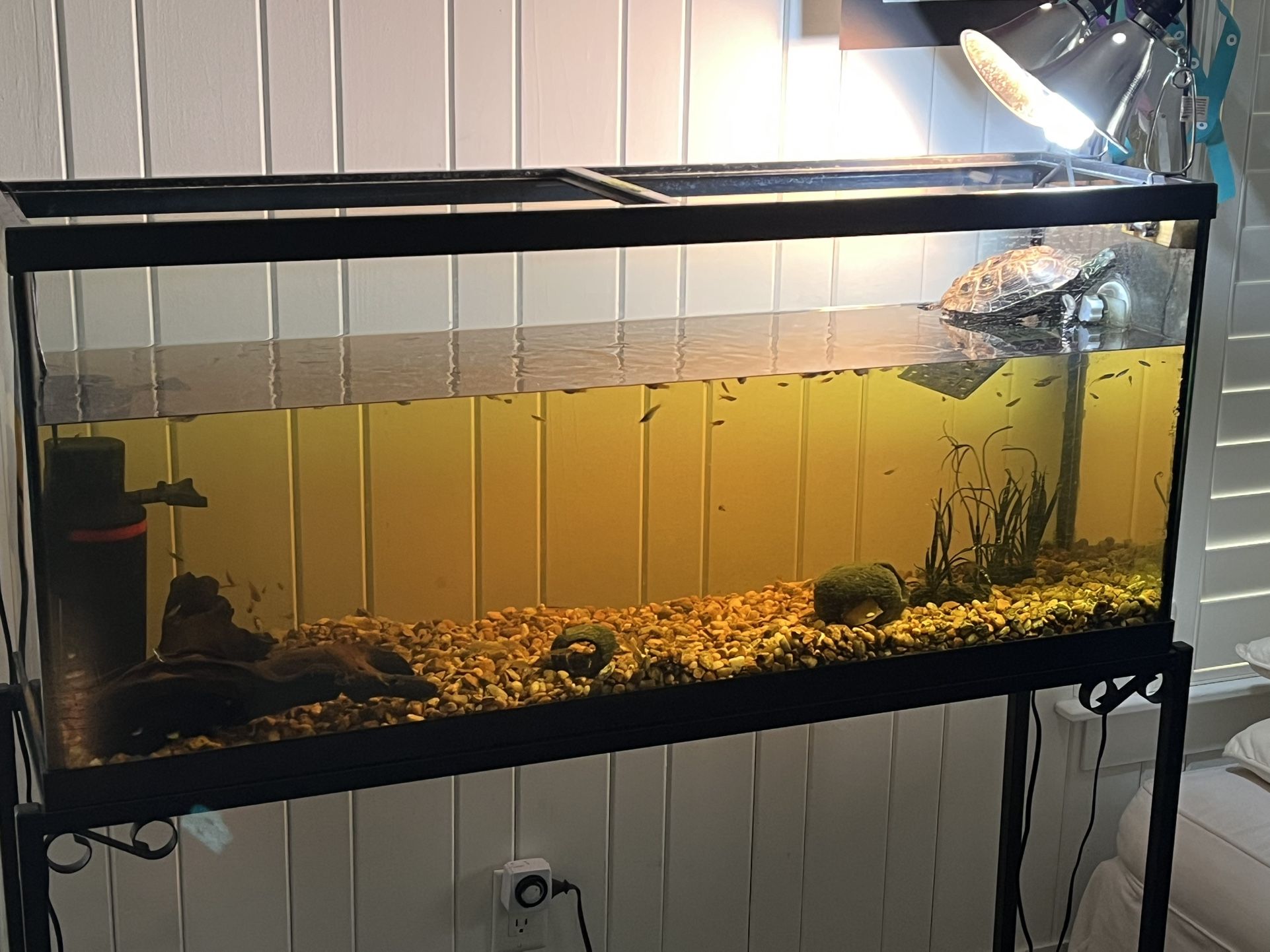 55 Gallon Aquarium Kit
