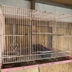 Bird Cage