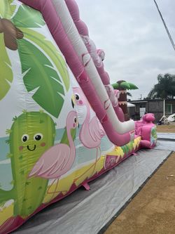 Pink Water Slide 