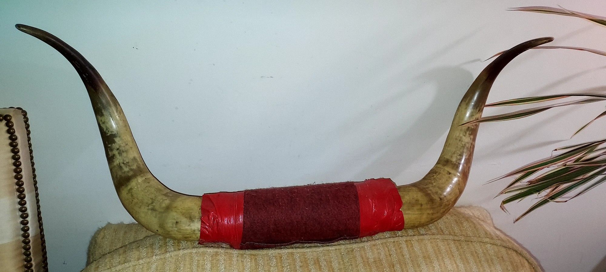 Bull Horn, Very Good Quality