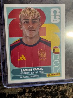 World Cup panini