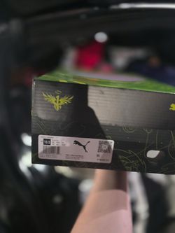 Rick and Morty shoes